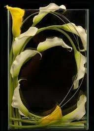 lilies.webp