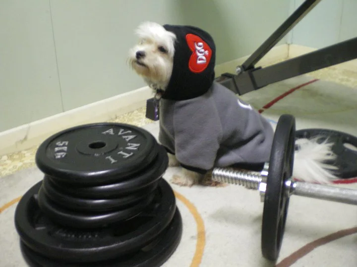 Lillyworkout.webp