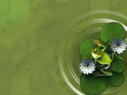 lily pad frog.webp