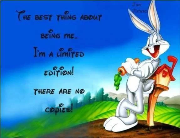 limited edition..webp