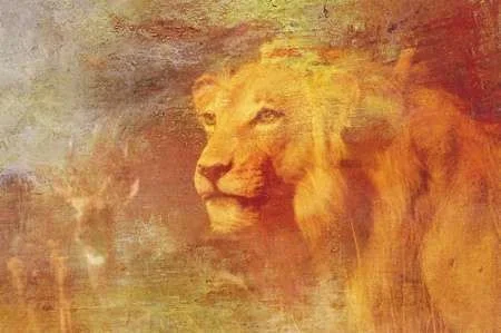 lion-0915-2.webp