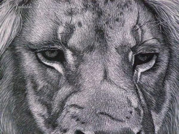 Lion Eyes2.webp