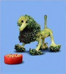 lion.webp