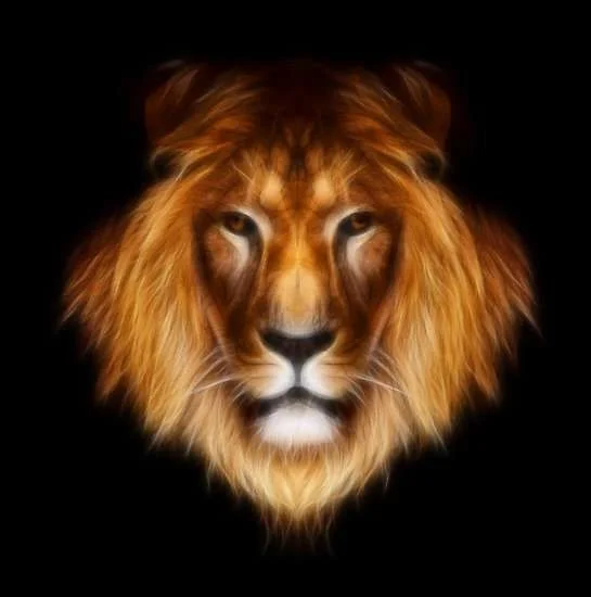 lion3.webp