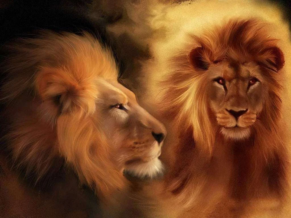 lion4.webp