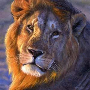 lionheart.webp