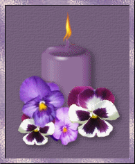 lit candle purple pansy.gif