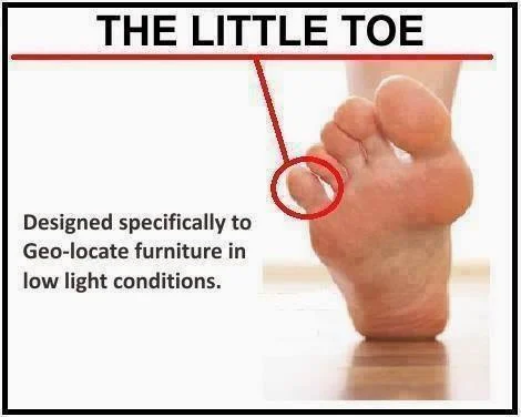 little toe.webp