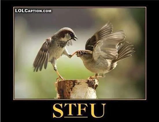 lolcaption-funny-demotivational-pics-stfu.webp