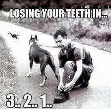 loosing your teeth.webp