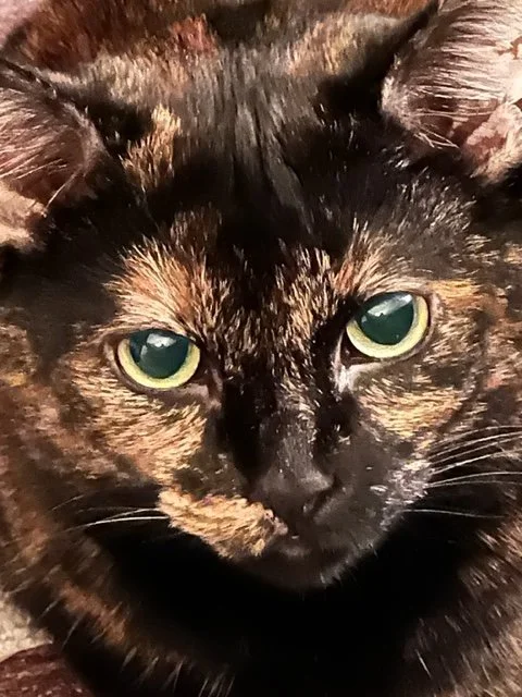 Lottie Sept 2023.webp