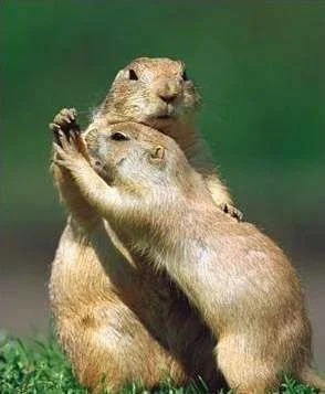 love-2.webp