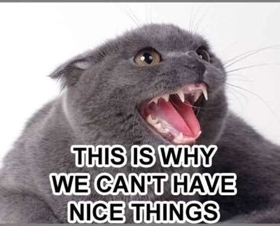 m6n0o.webp