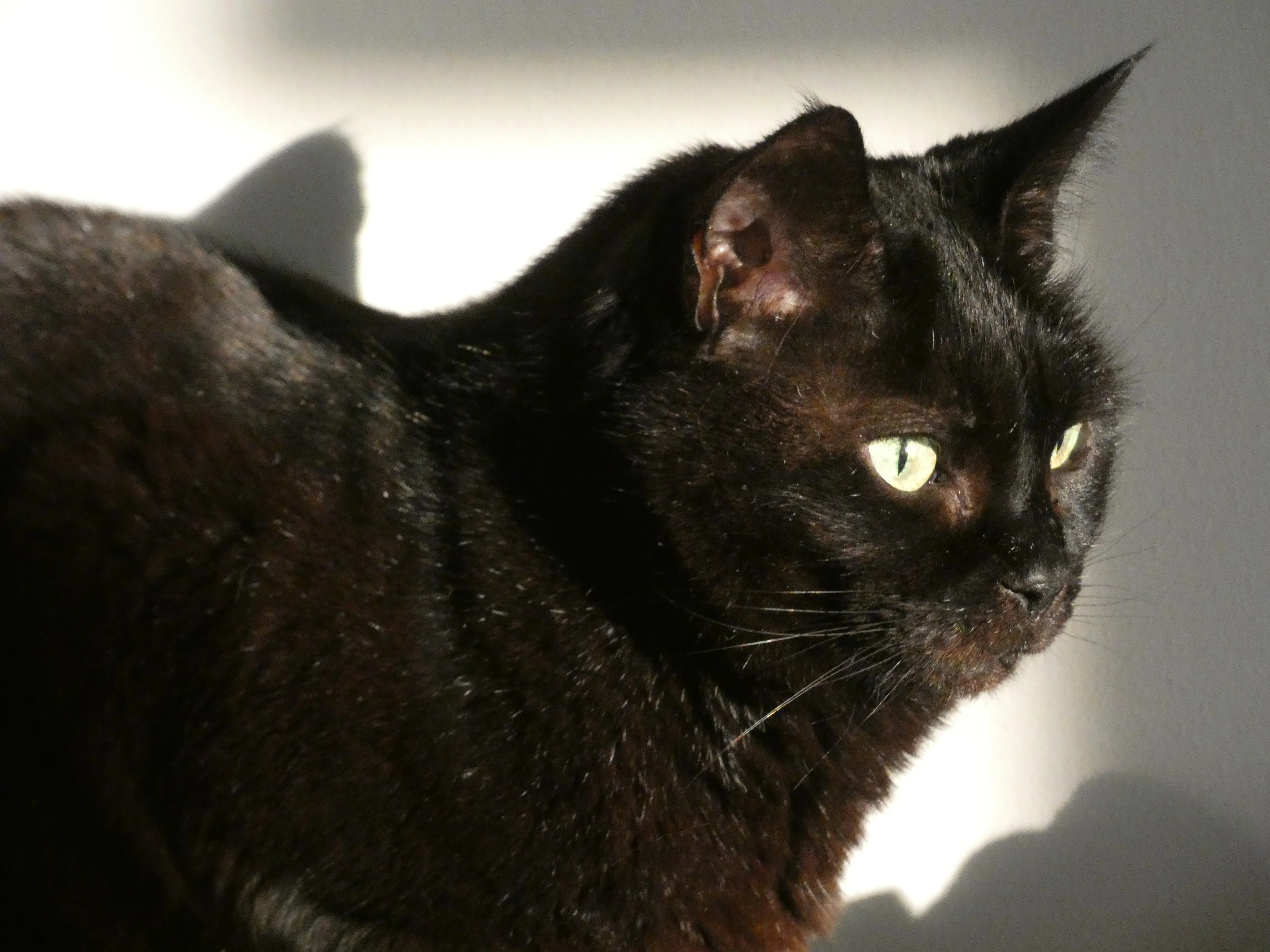Macie_2 02012024.webp