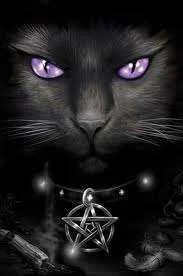 Magical cat.webp