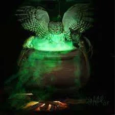 Magical owl.webp