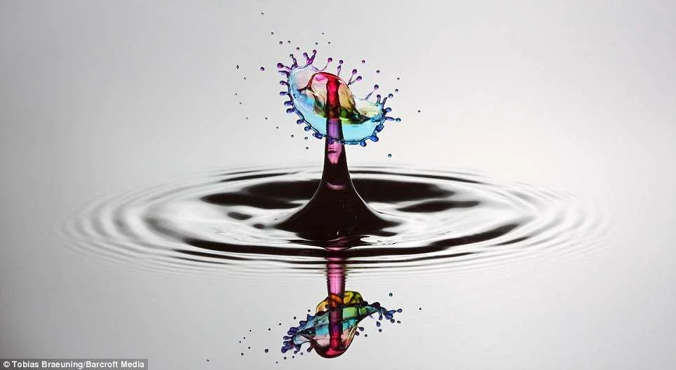 Making a Splash Water Color Photographer Creates Patterns (1).webp