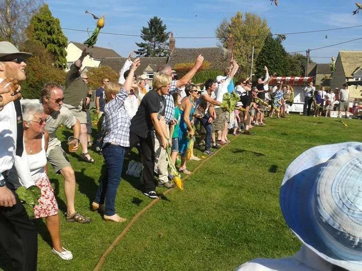 Mangold Hurling_3.webp