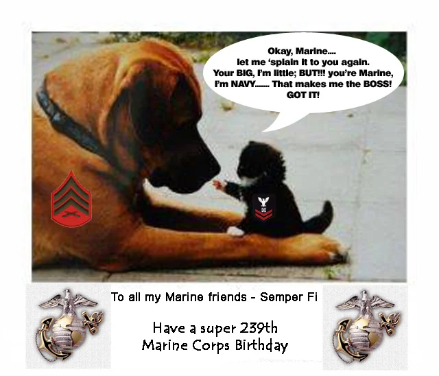 Marine BD 239.webp