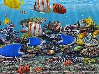 marine_aquarium_screensaver.webp