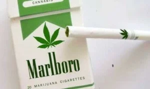 MarlboroGreen.webp