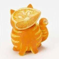 marmalade cat.webp