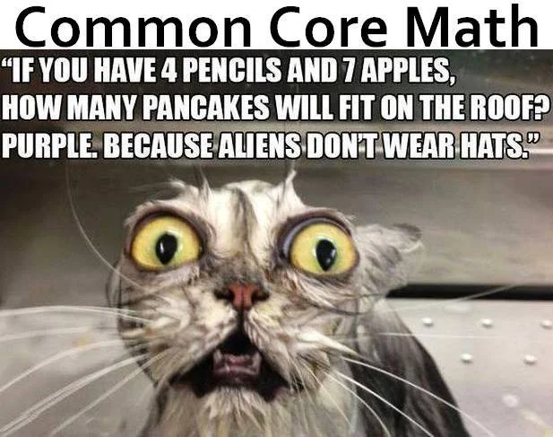 math cat.webp