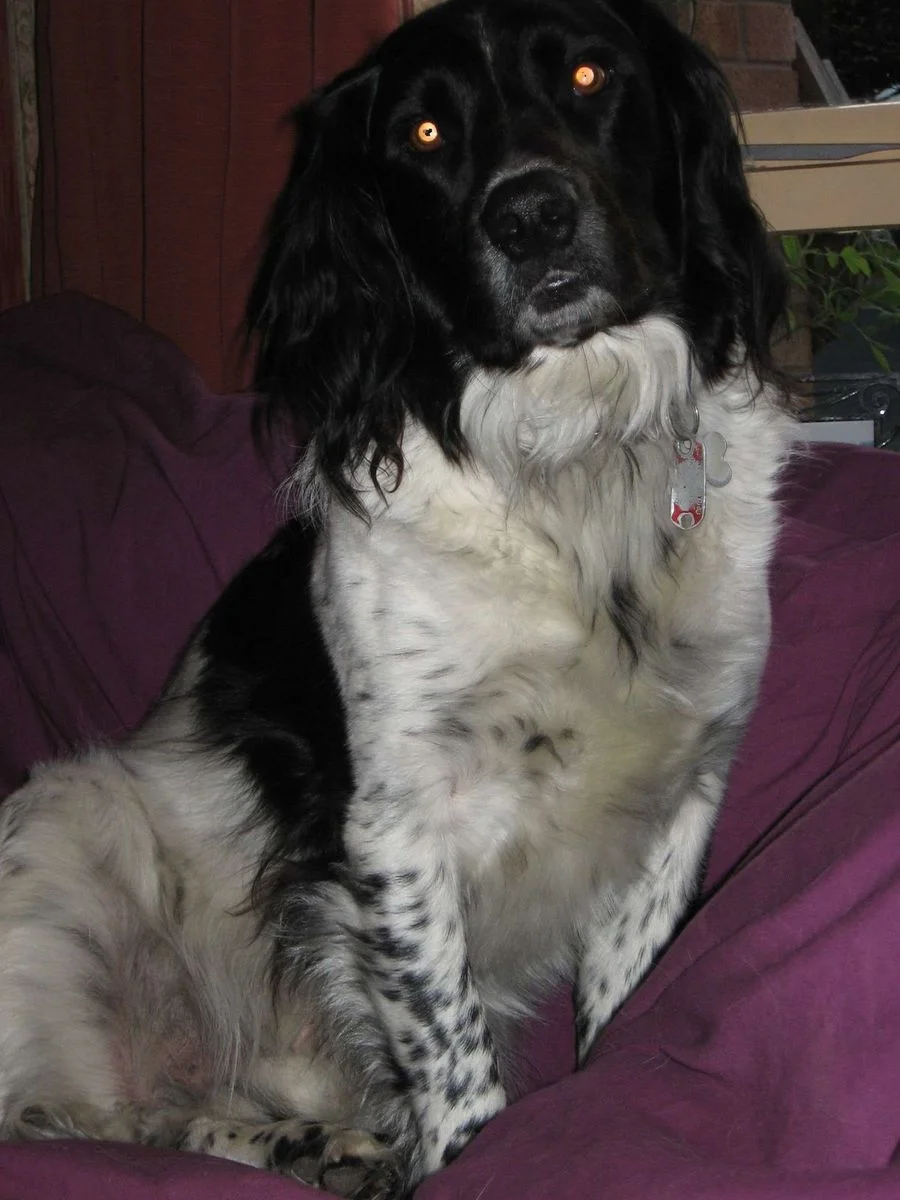 Max May 12 2.webp