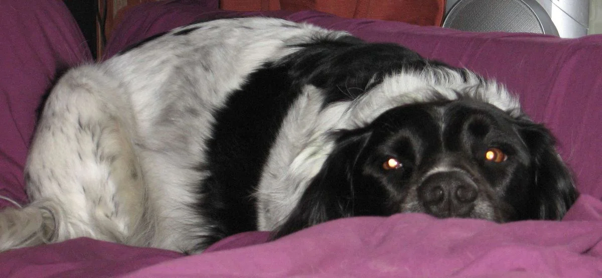 Max May 12.webp