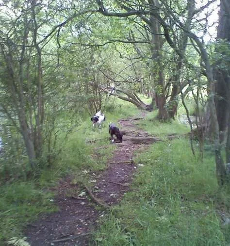 Max & Saffi Benthall 10.06.12.webp