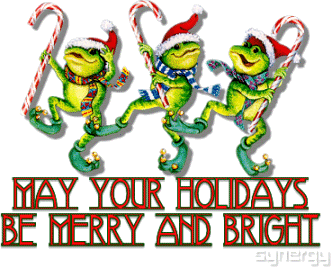 MayYourHolidaysBeMerryBrightFrogs.gif