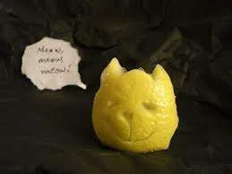 meeow.webp