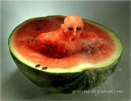 melon swimmer.webp