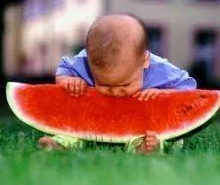 melon.webp