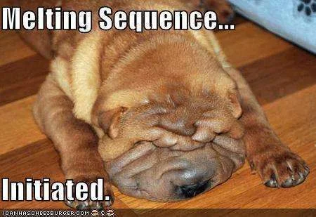 meltingsequence128577091437561639.webp