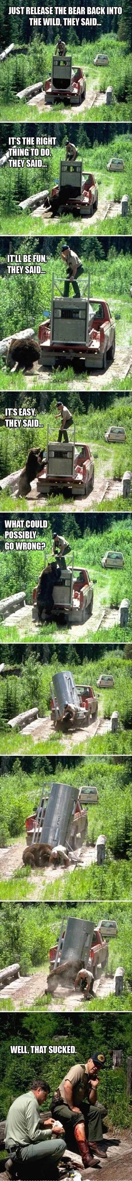 MEMES-dude-gets-attacked-by-bear-he-sets-free-into-the-wild[1].webp