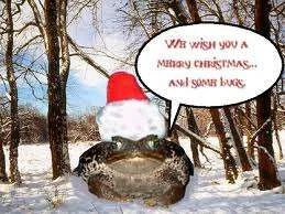 Merry christmas and bugs.webp