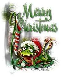 Merry christmas frog.webp
