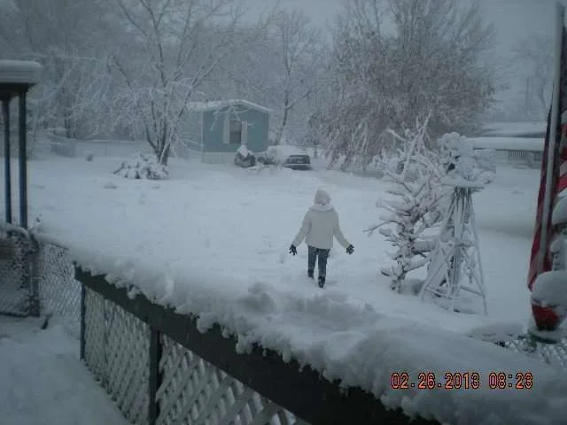 Micca in her first snow.webp
