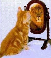 mirror.webp