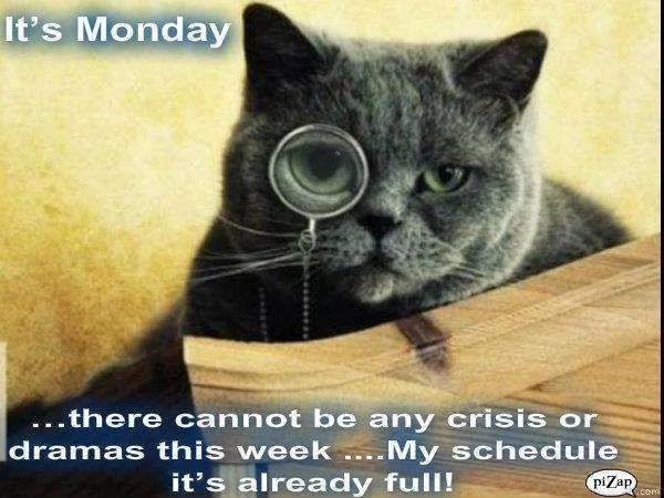 monday.webp