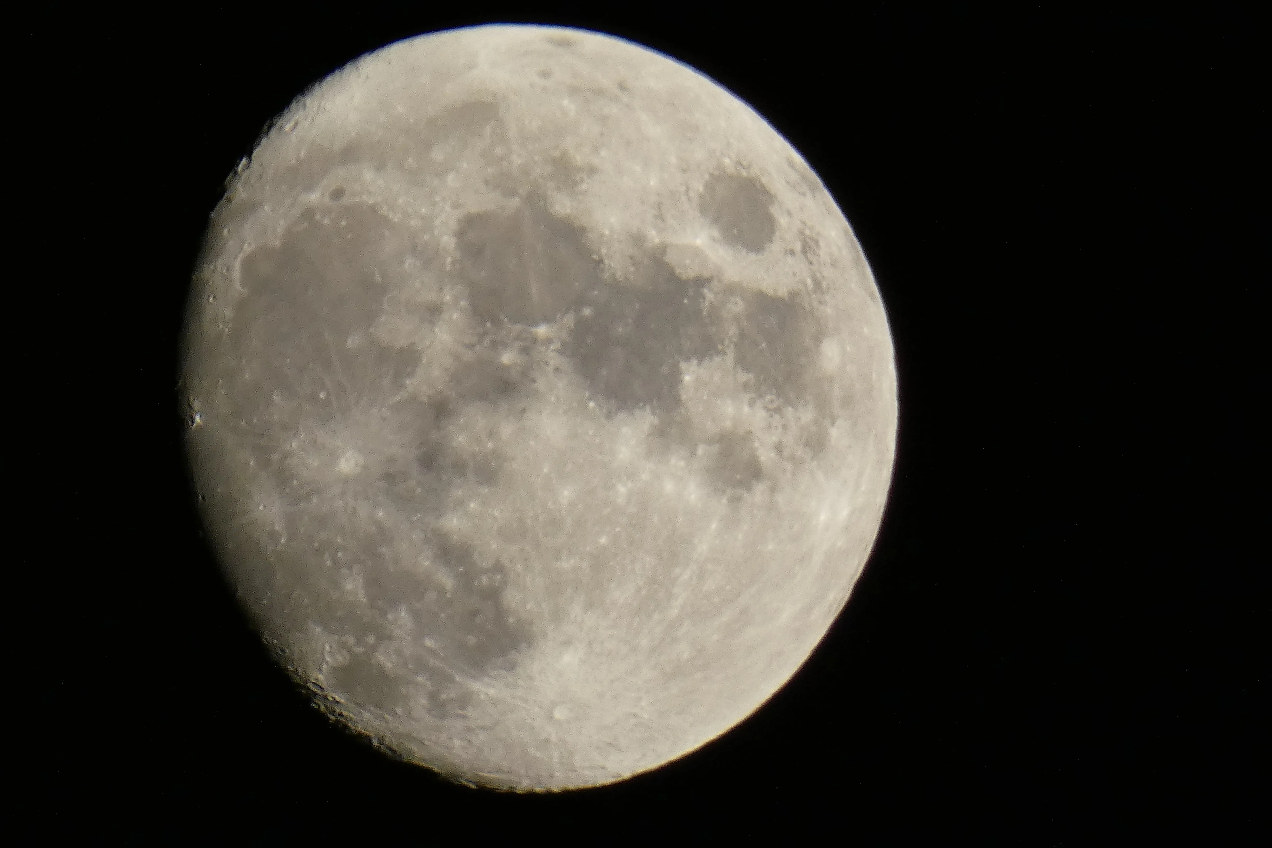 moom 10172021_2.webp