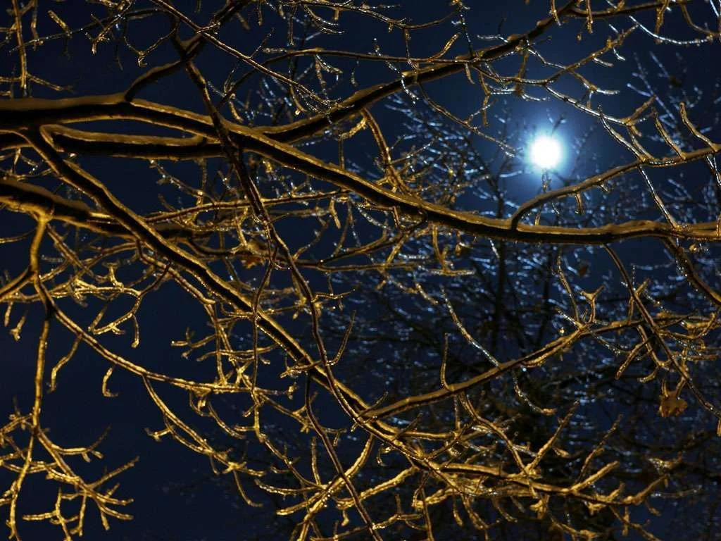 moon.webp