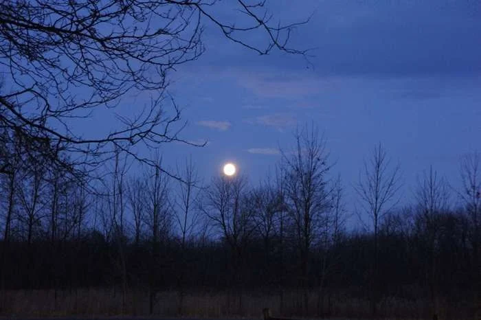 moon.webp