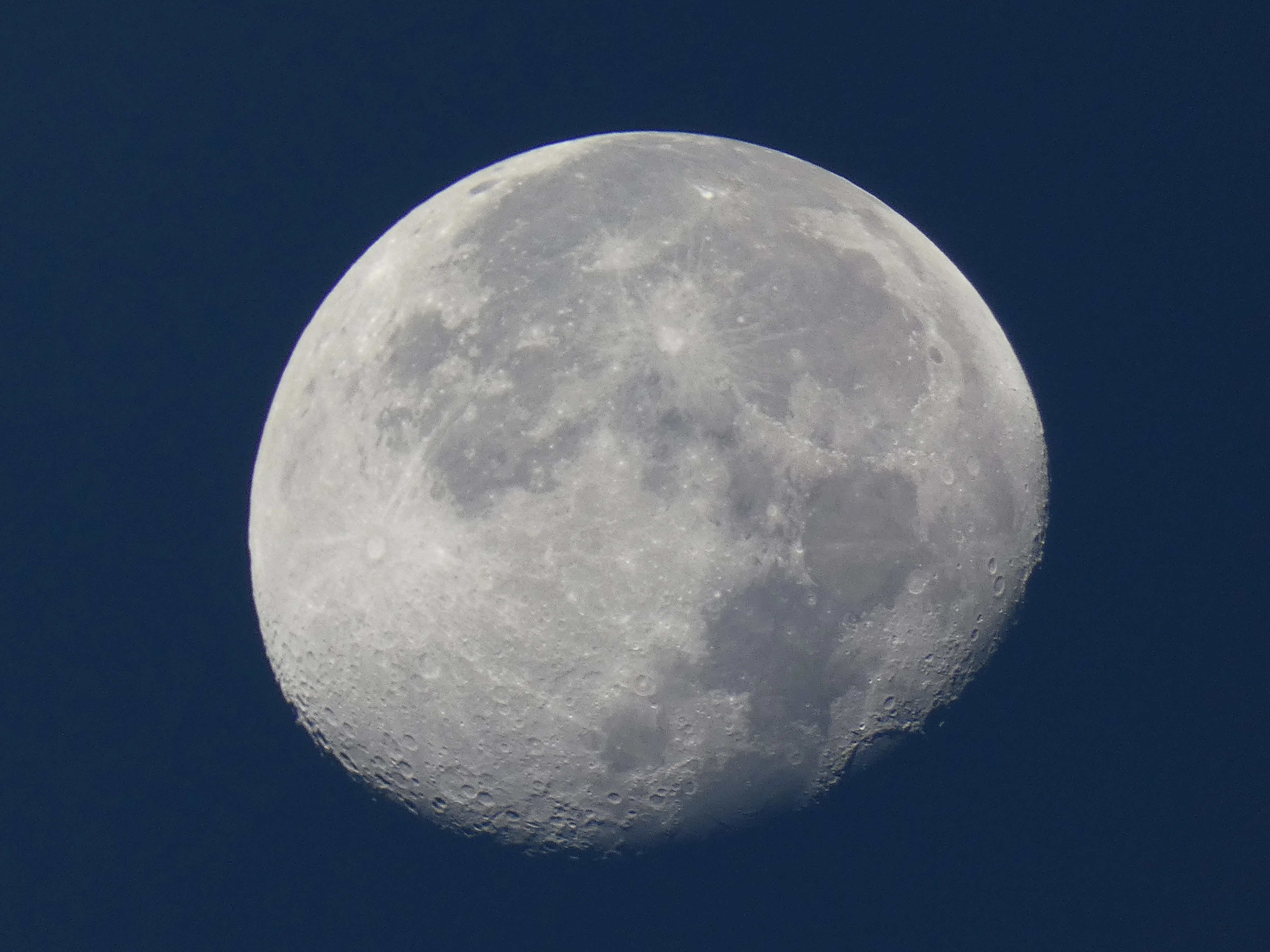 morning moon 10022023.webp