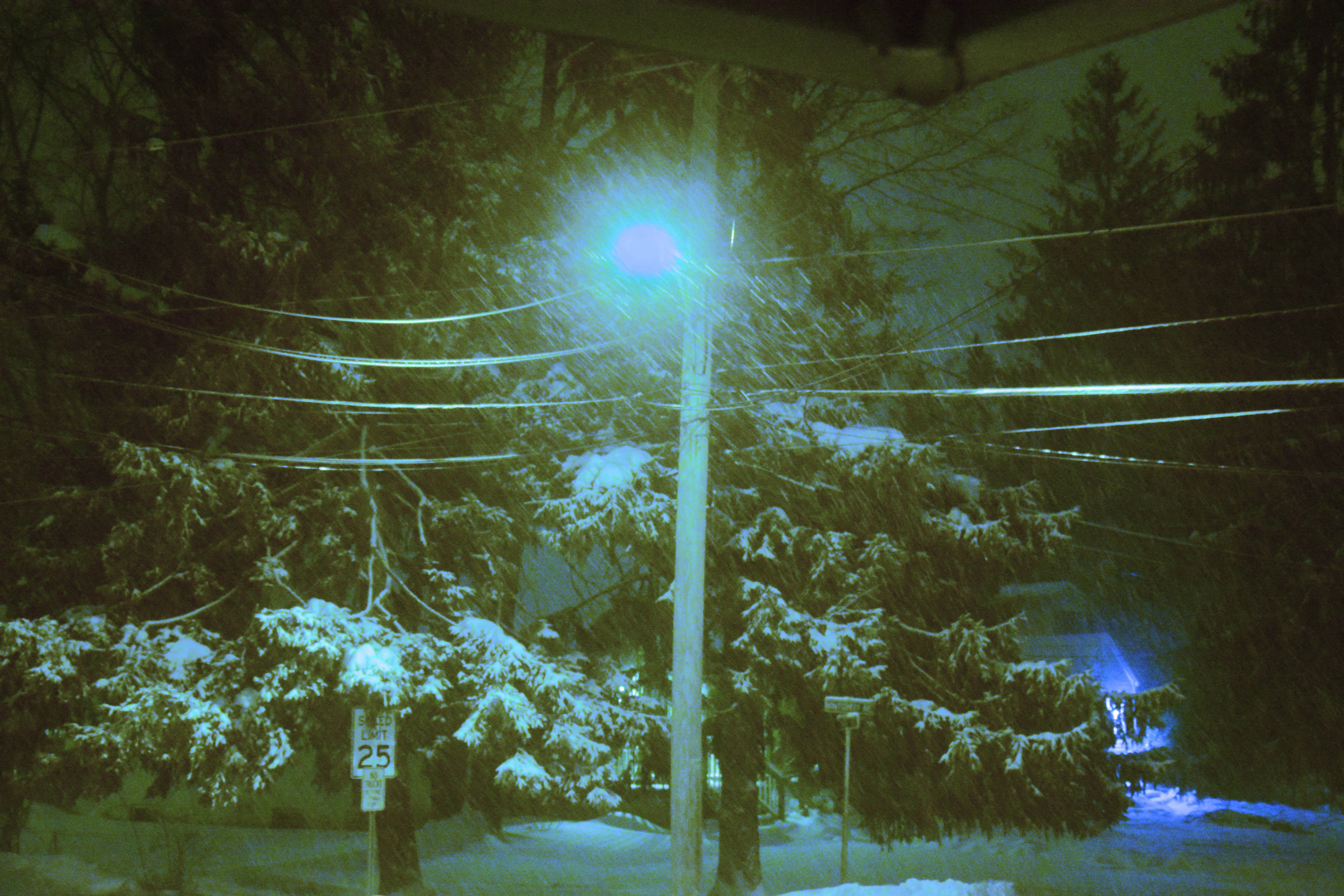 Morning Snow.webp