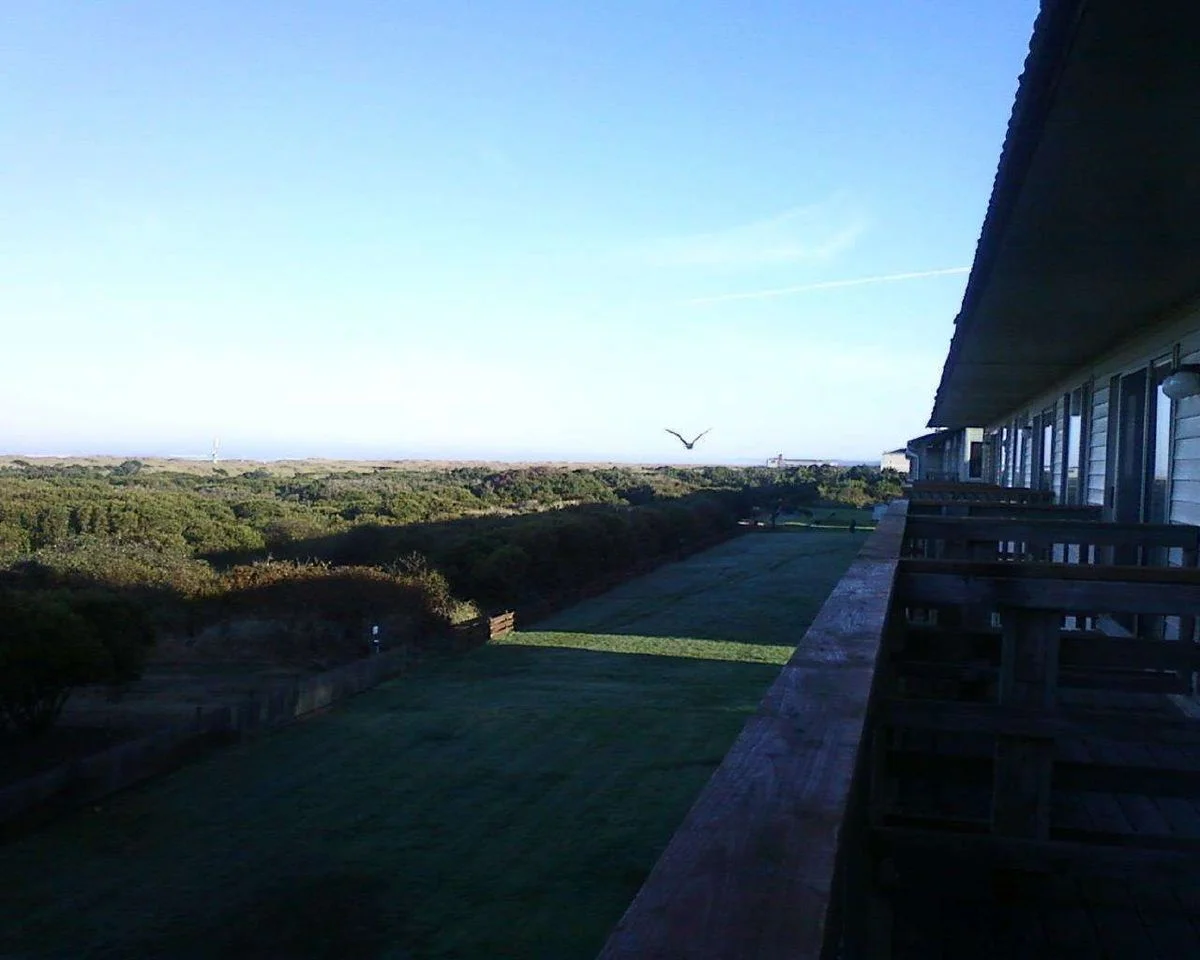 Morning2.webp