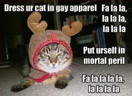 mortal apperal.webp