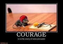 mouse courage.webp