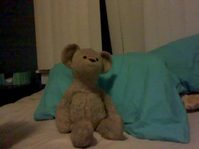 Mr Teddy Tumbles.webp